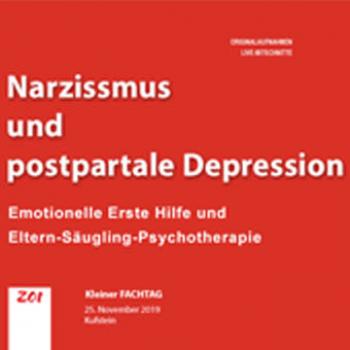 ZOI FACHTAG 2019 Narzissmus und Postpartale Depression_GESAMTSET Video und Audio auf Datenträger (USB Video, USB Audio, CD-Set, DVD-Set )