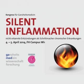 GAMED SYMPOSIUM 2013: Silent Inflammation_Gesamtset Audioaufnahmen auf Datenträger